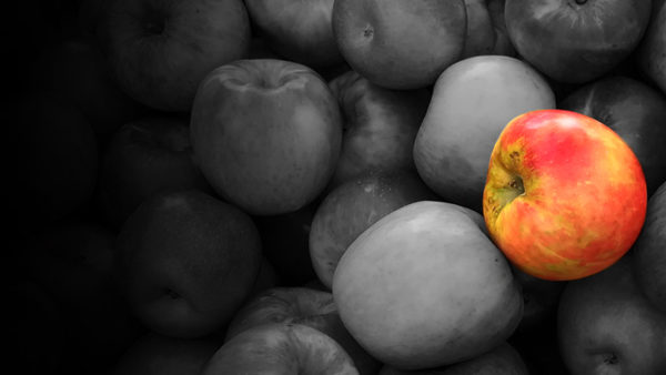 Career Branding Job Search